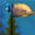 Fish Aquarium 3D Screensaver icon